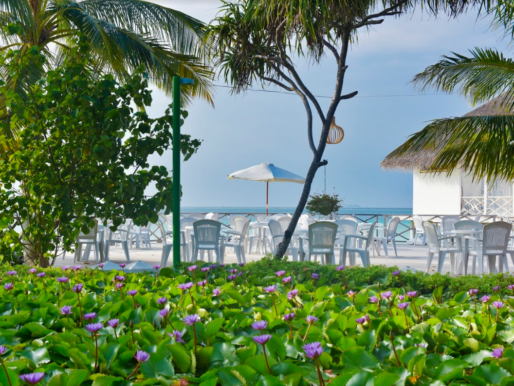 Safari Island Resort & Spa