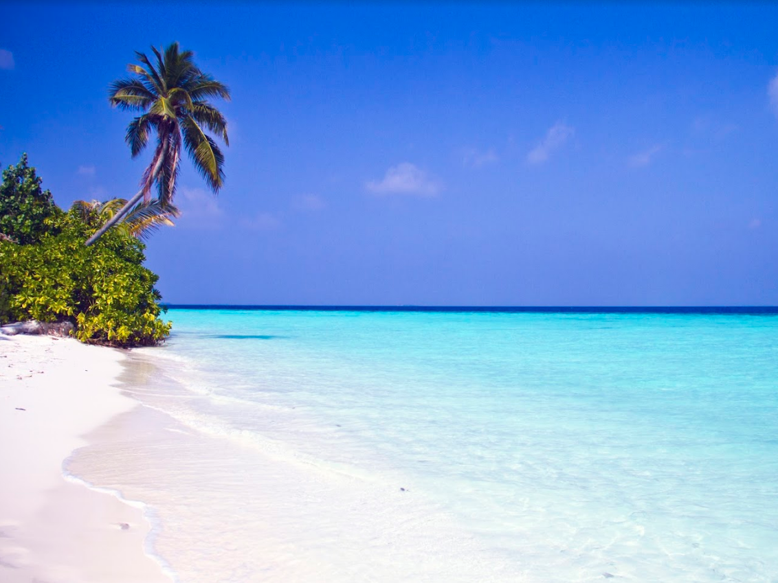 Safari Island Resort & Spa