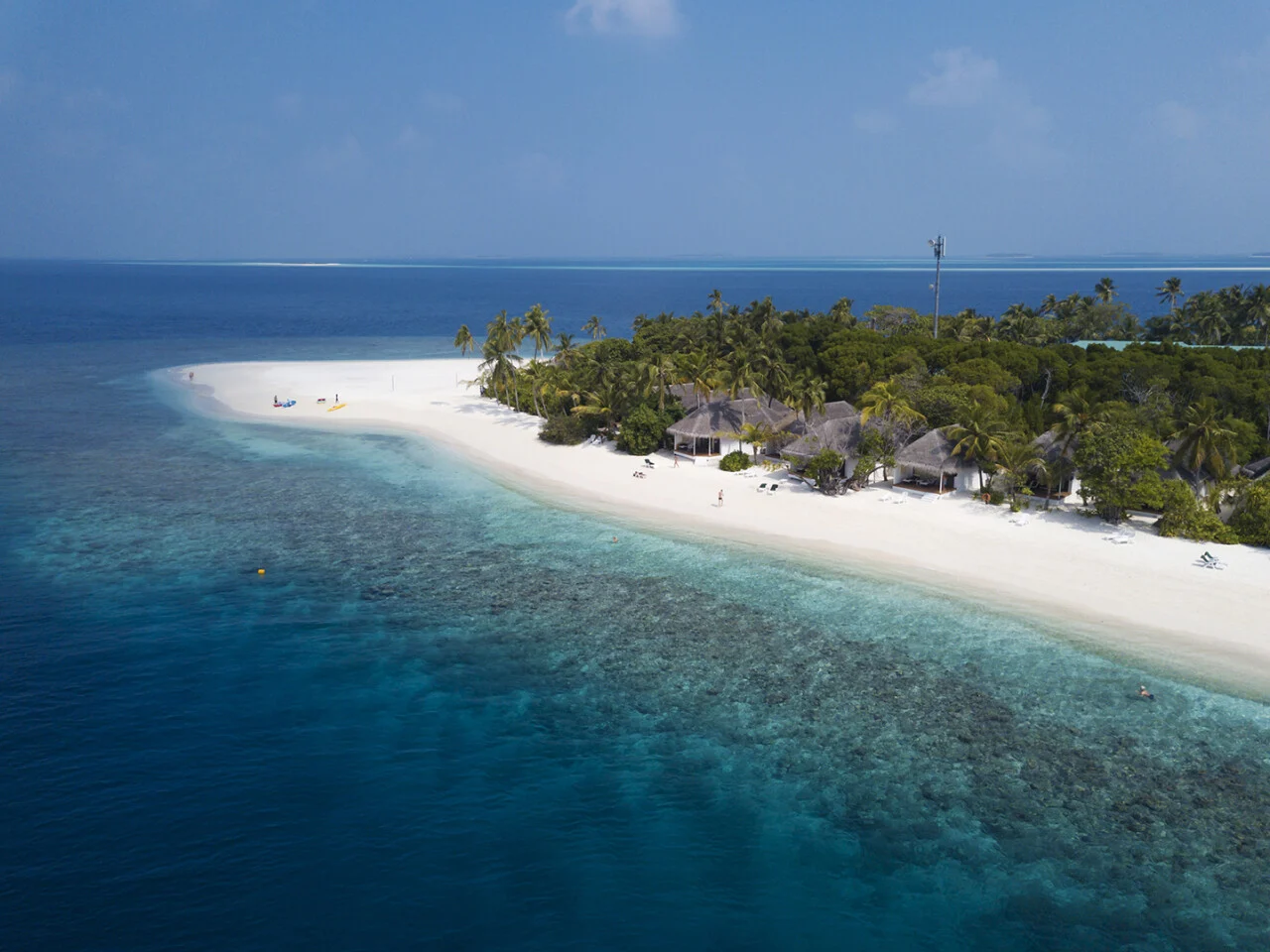 Dreamland Maldives - B.hirundhoo
