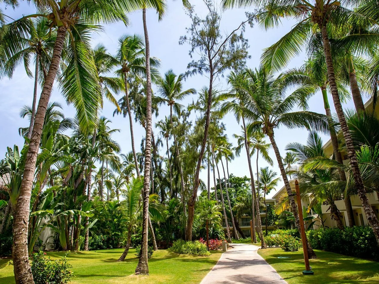 Impressive Punta Cana Resorts & Spas