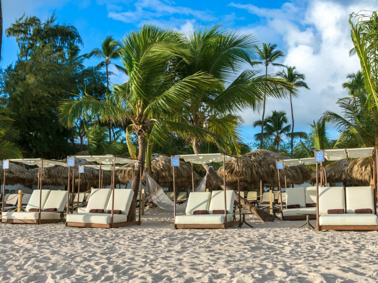 Impressive Premium Punta Cana