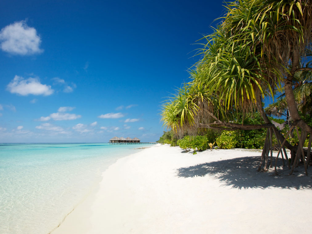 Lux* South Ari Atoll, Maldives - Adh.dhihdhoofinolhu
