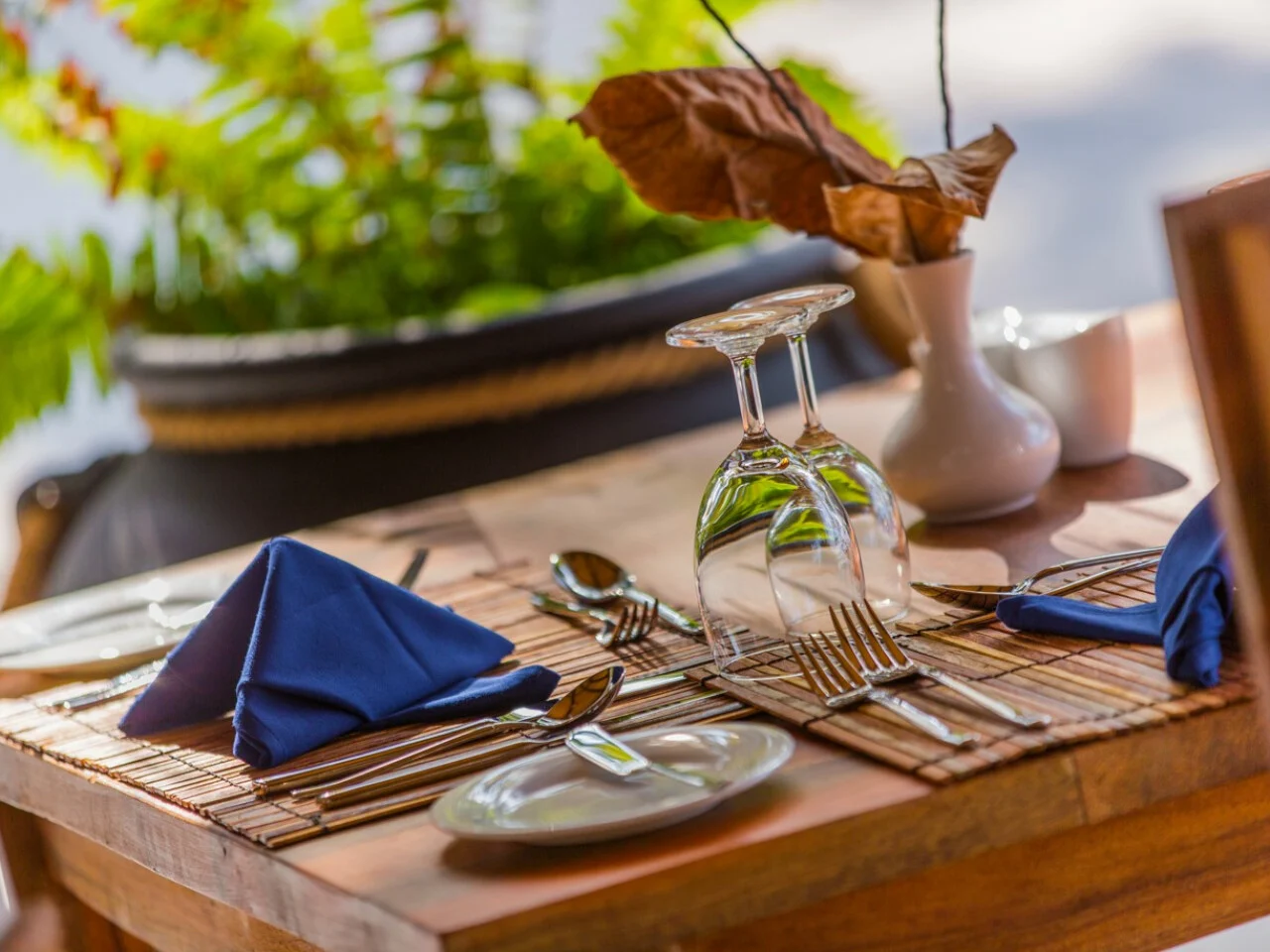 aaaVeee Nature's Paradise