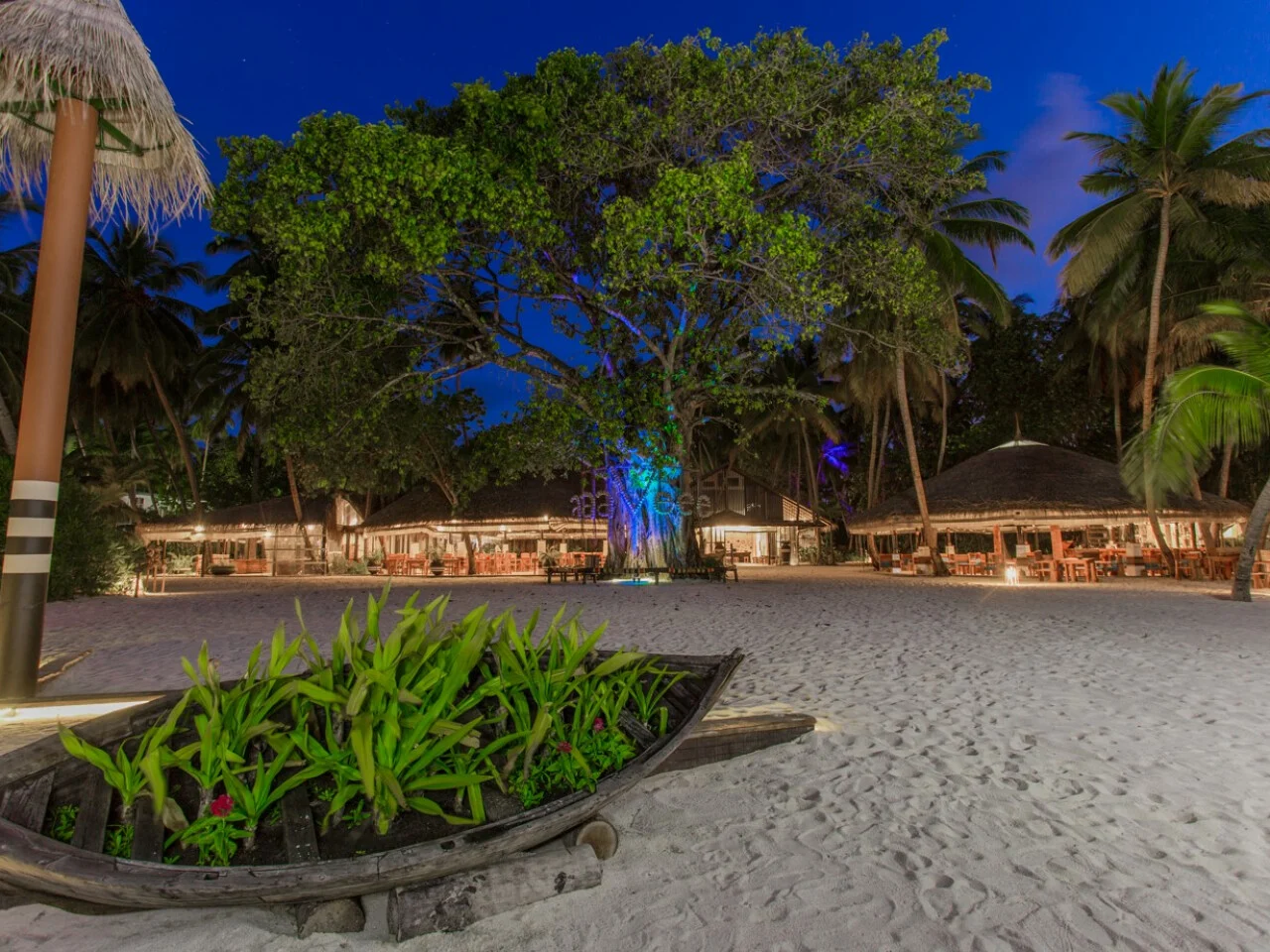 aaaVeee Nature's Paradise