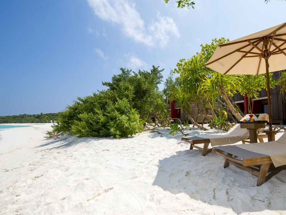 The Barefoot Eco Hotel - Haa Dhaalu Atoll