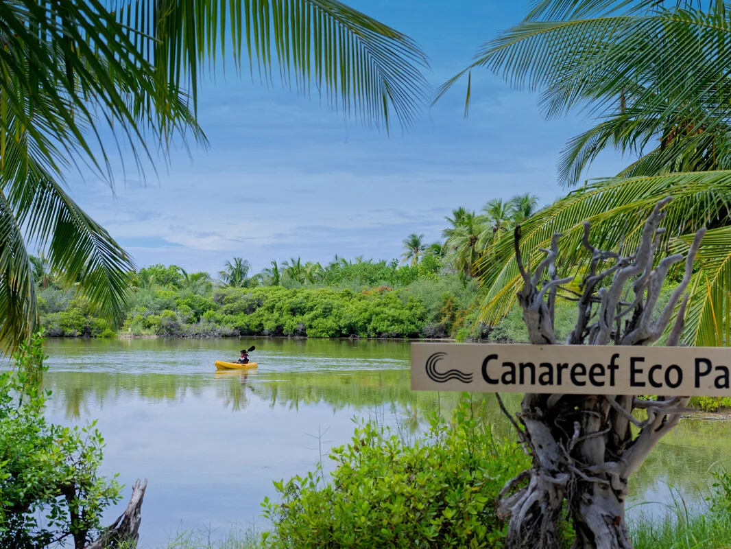 Canareef Resort Maldives