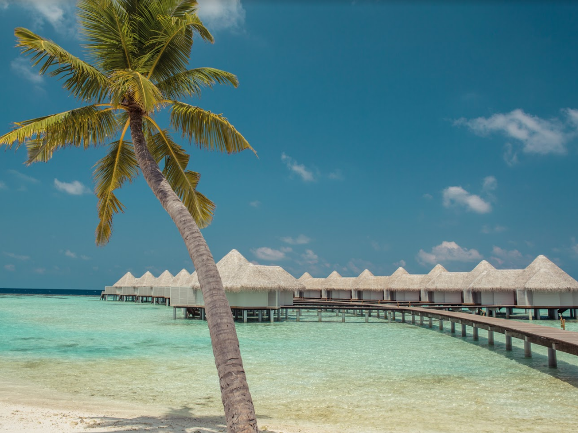 Drift Thelu Veliga Retreat