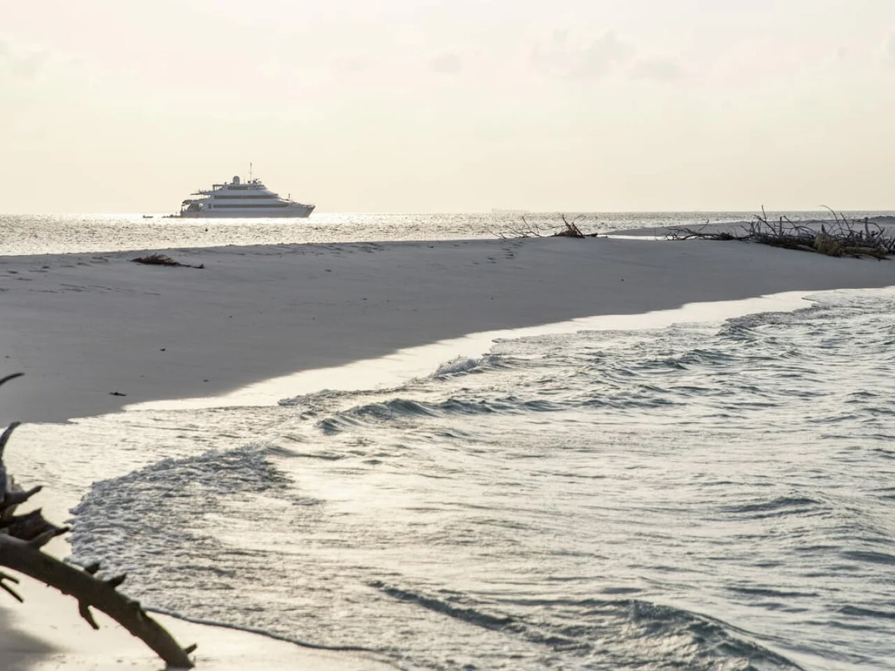 Four Seasons Explorer