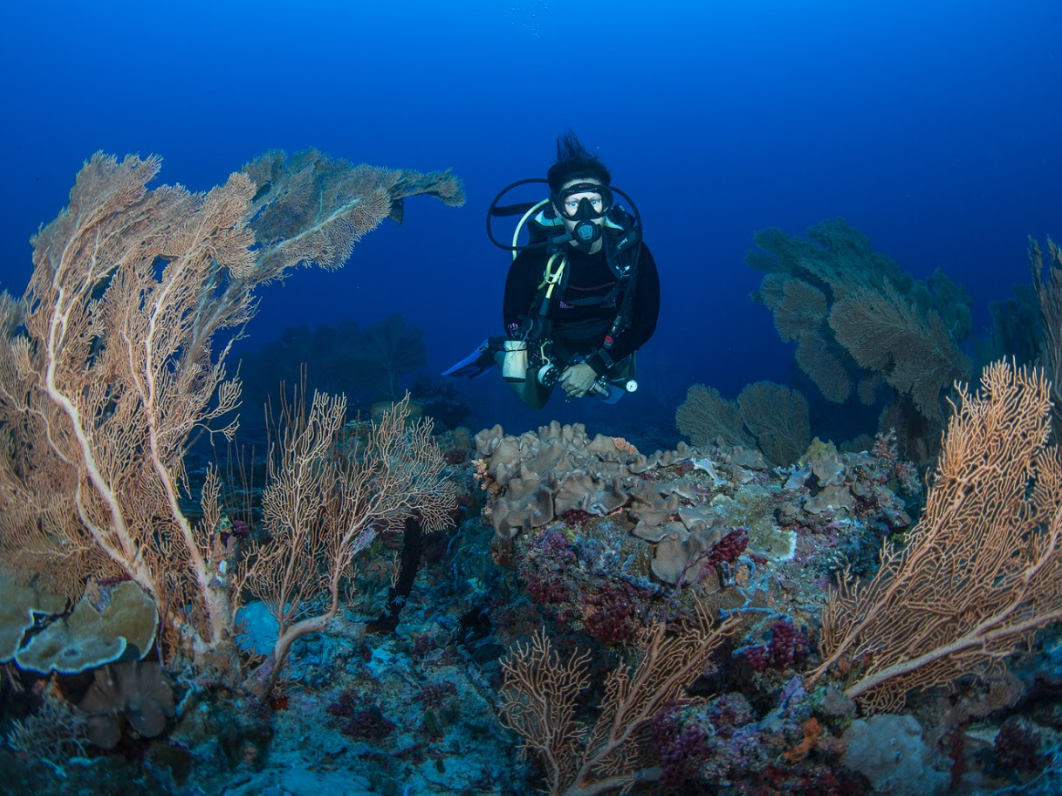 Grand Park Kodhipparu