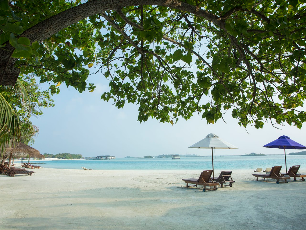 Cinnamon Dhonveli Maldives