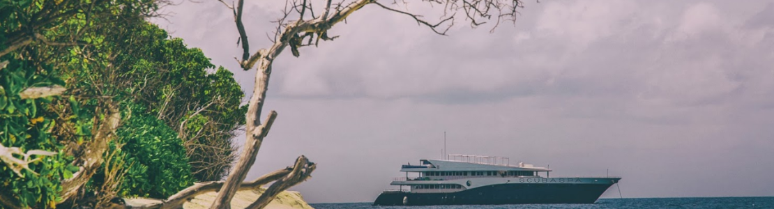 Scubaspa Maldives Ying