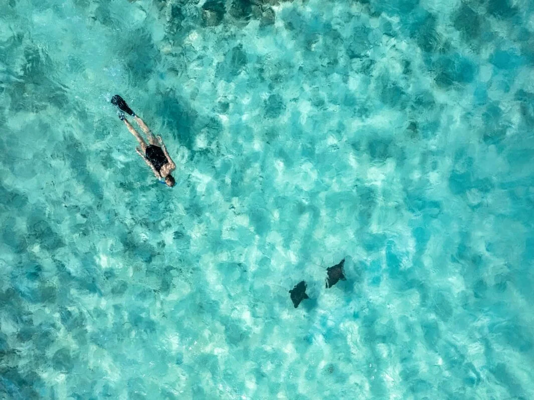 The Nautilus Maldives