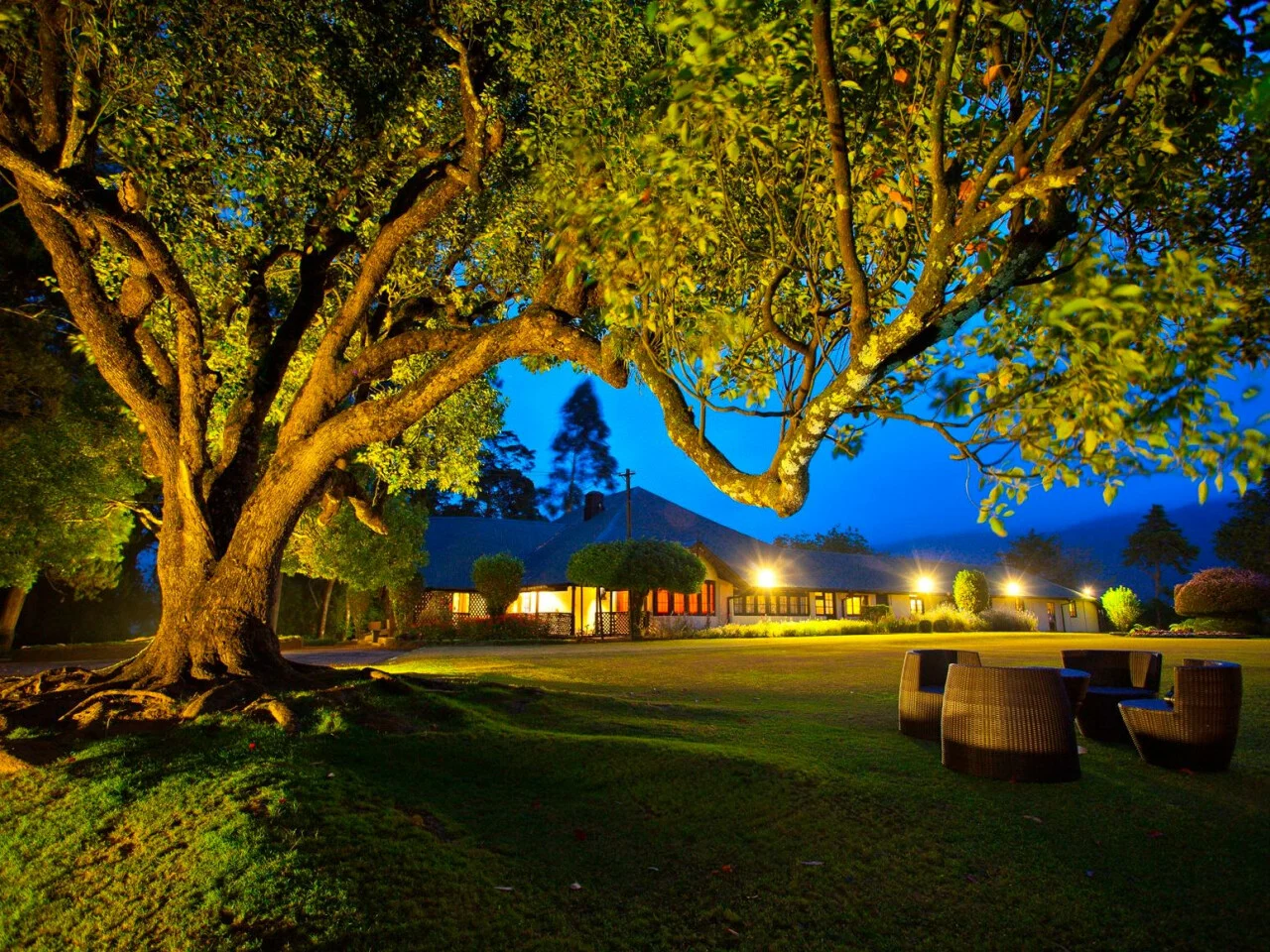 Ferncliff Boutique Bungalow