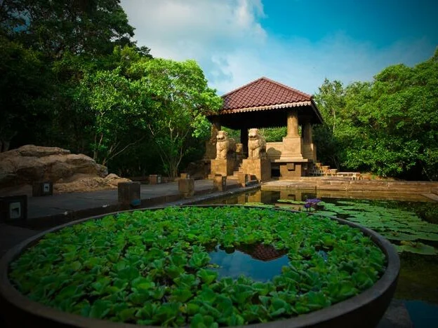 Forest Rock Garden Resort