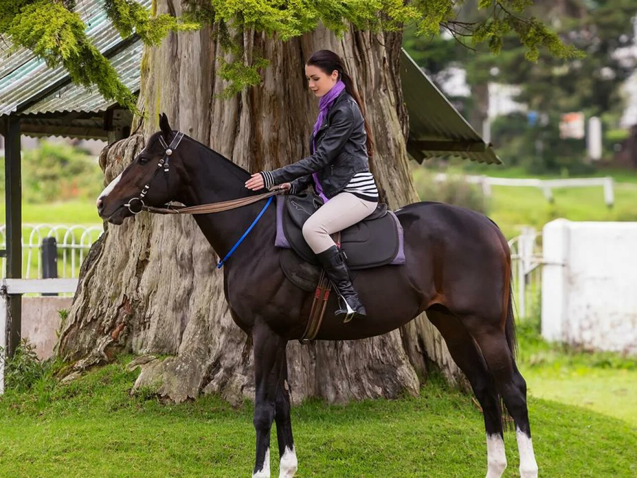 Hill Rise Nuwara Eliya