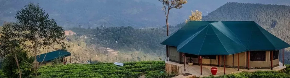 Madulkelle Tea and Eco Lodge