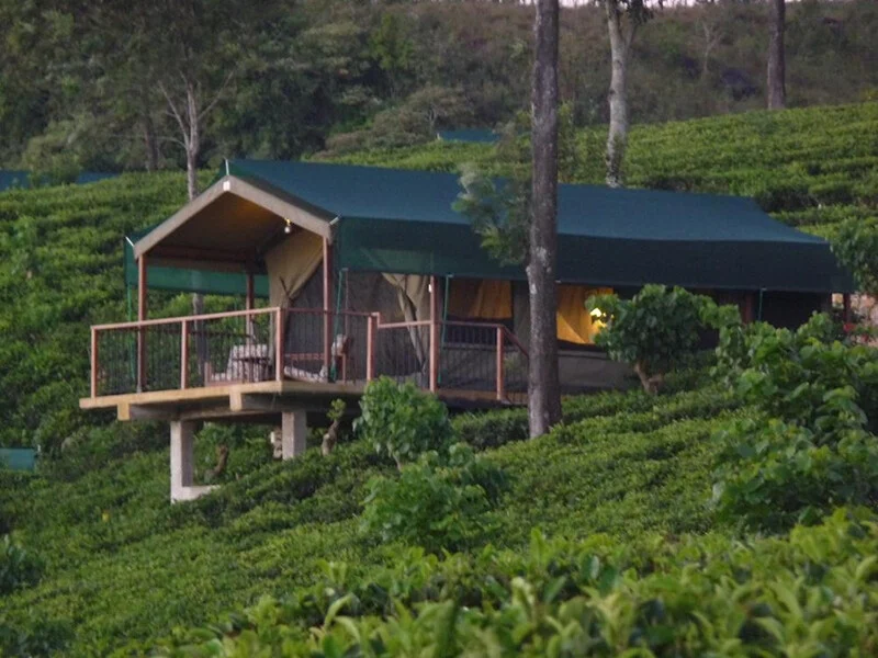 Madulkelle Tea and Eco Lodge
