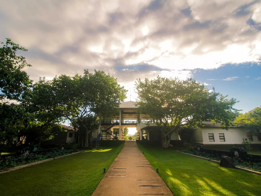 The Elephant Corridor