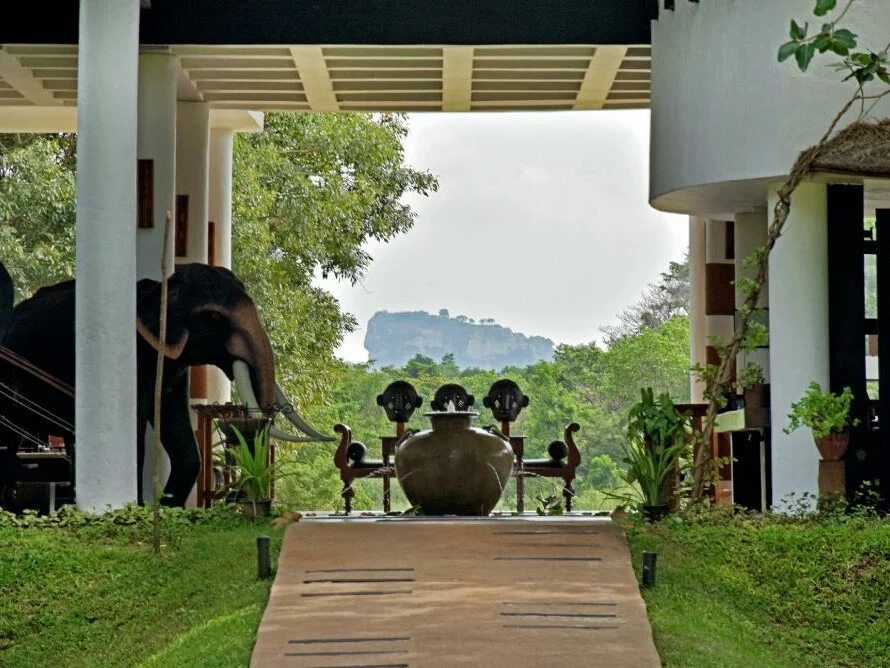 The Elephant Corridor