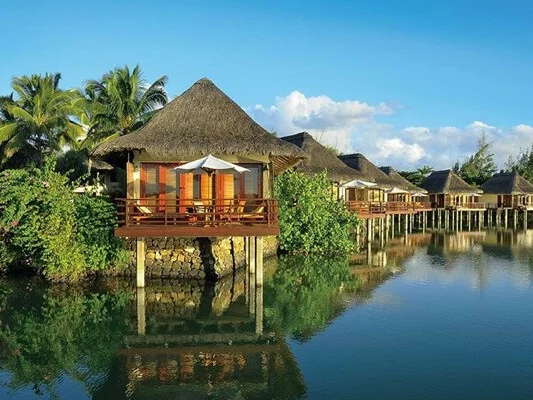 Constance Prince Maurice