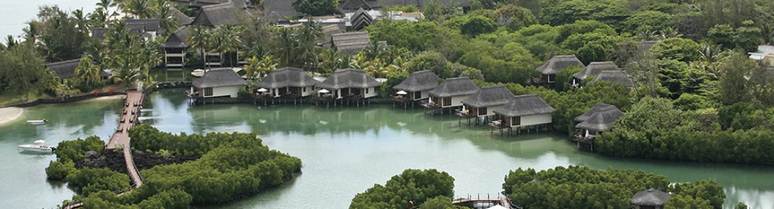 Constance Prince Maurice