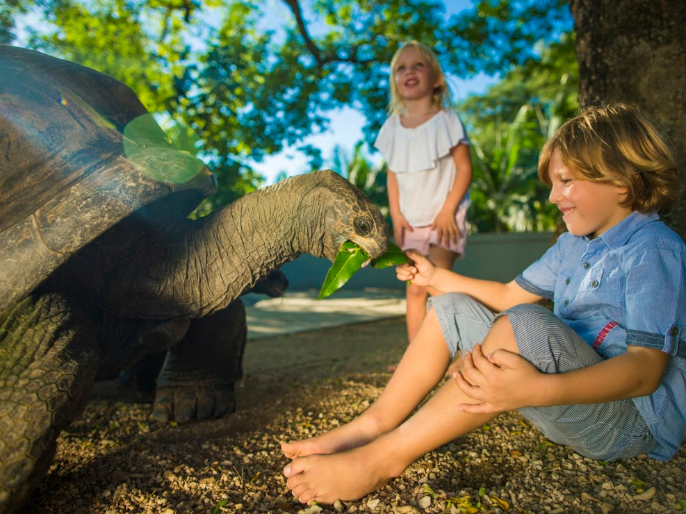 Maritim Resort & Spa Mauritius