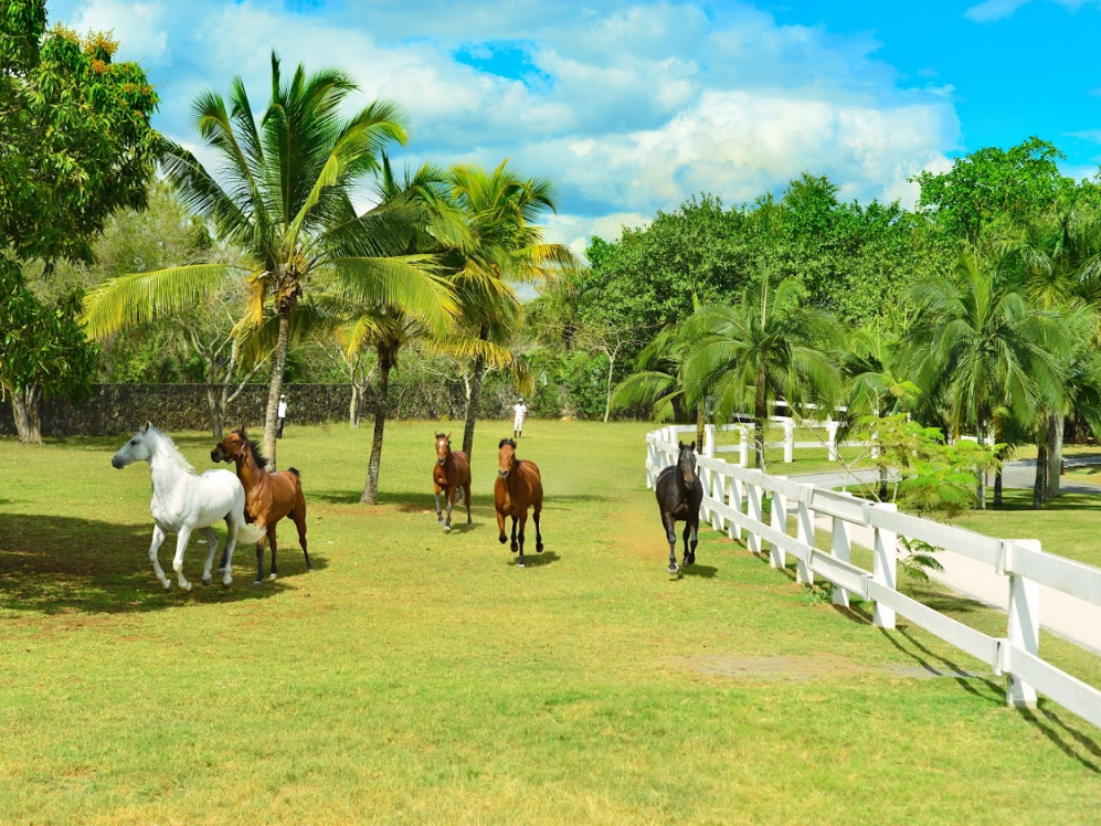Maritim Resort & Spa Mauritius