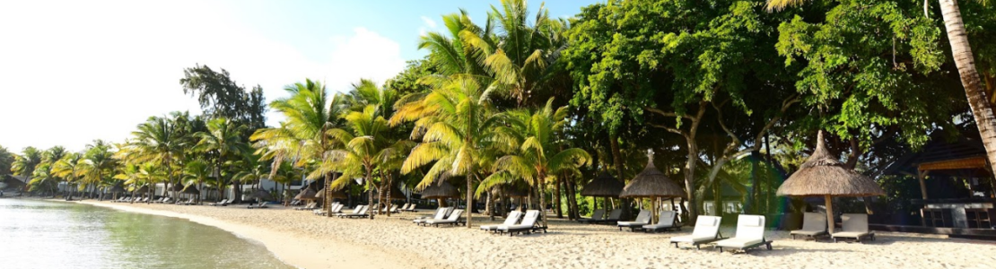 The Ravenala Attitude