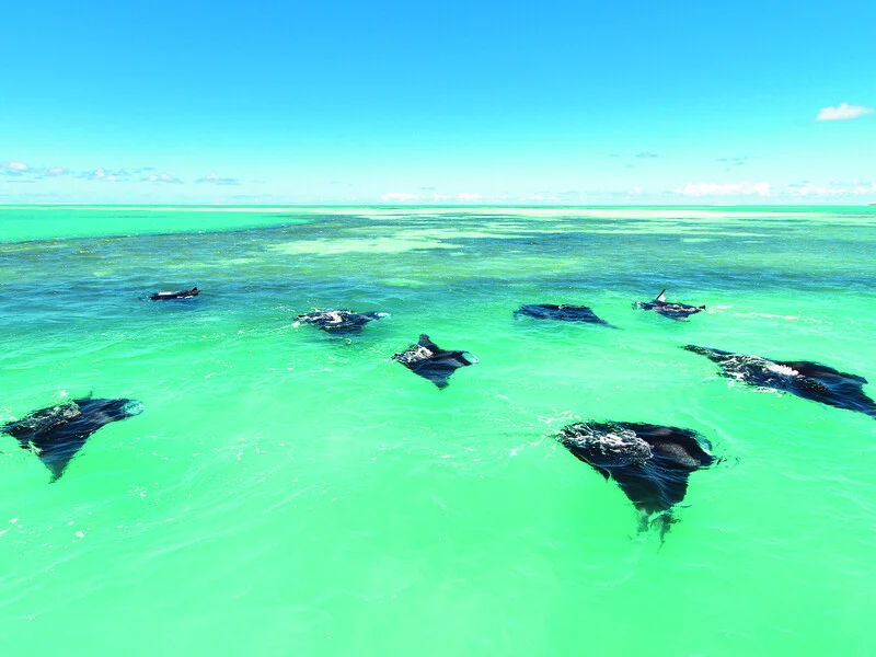 Alphonse Island Lodge