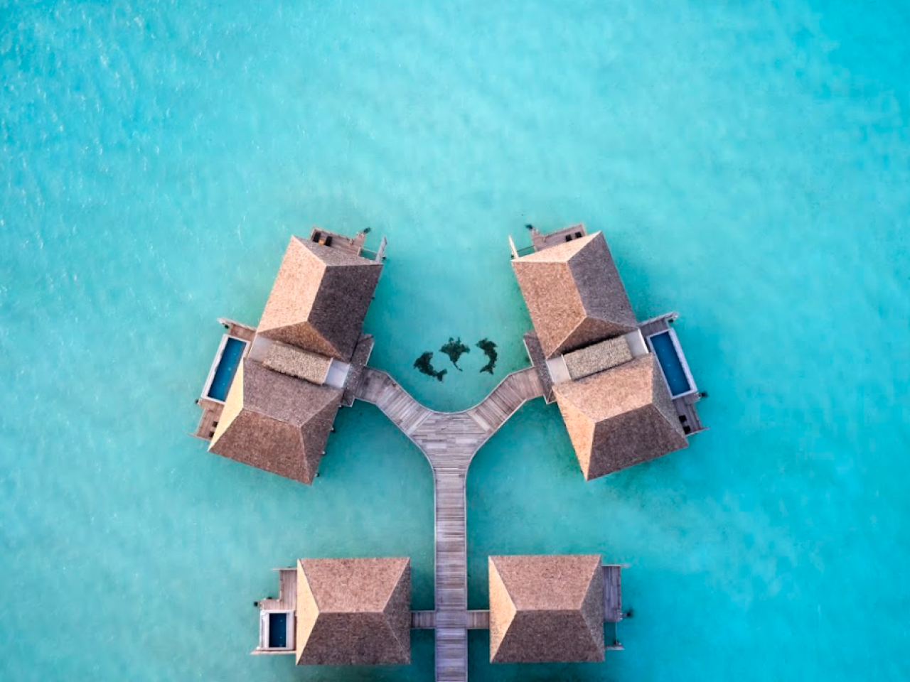 Le Meridien Maldives Resort & Spa