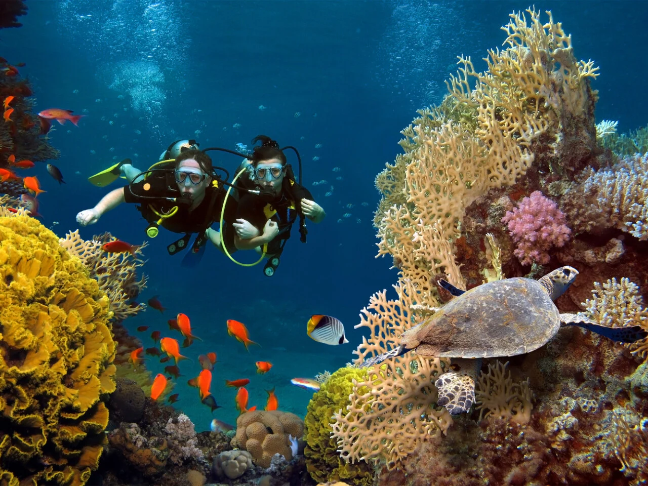 AVANI+ Fares Maldives