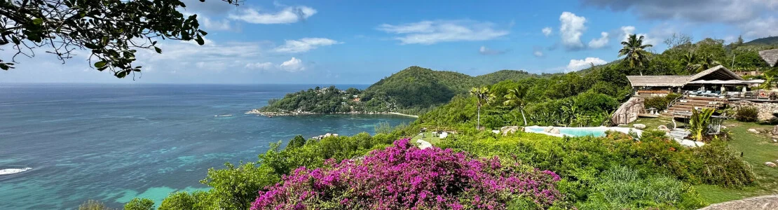 Le Chateau de Feuilles