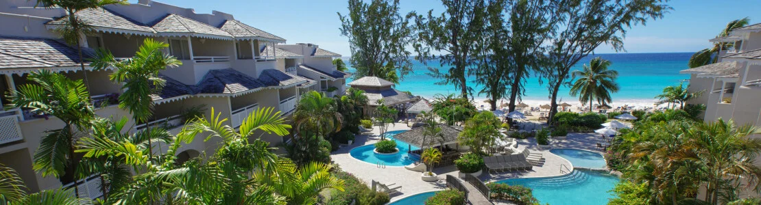 Bougainvillea Barbados