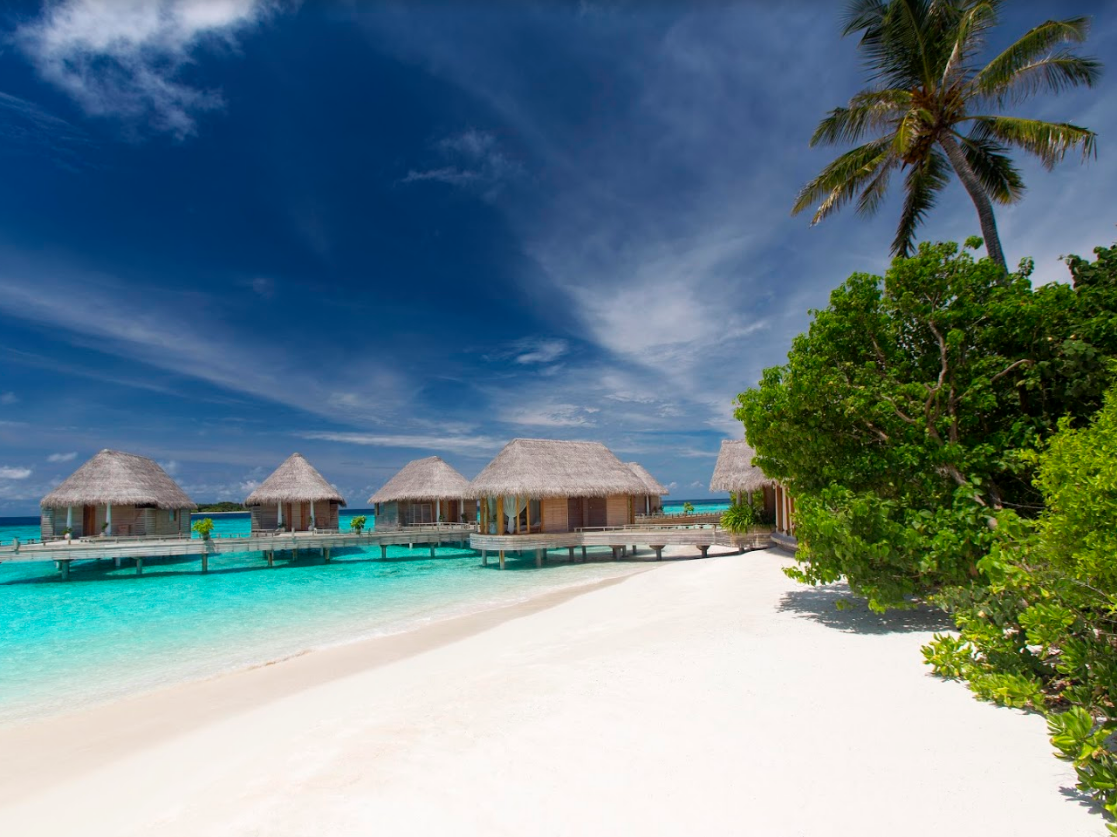Milaidhoo Maldives - B.milaidhoo