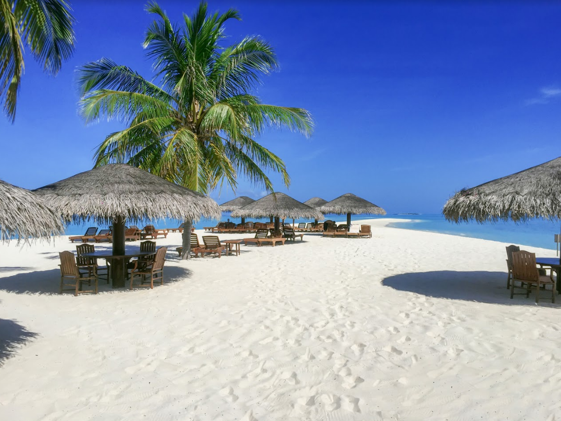 Palm Beach Island Resort & Spa