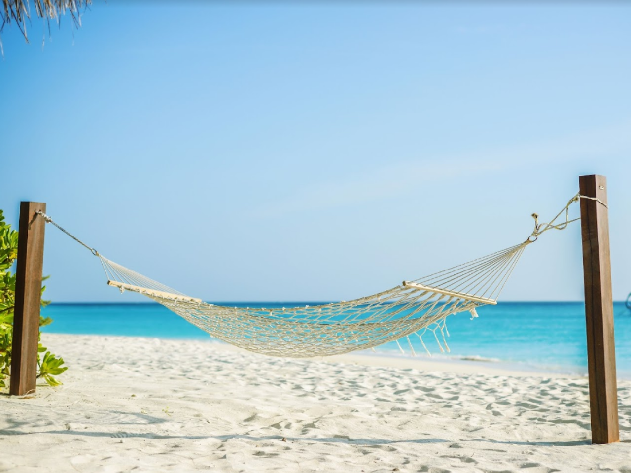 Palm Beach Island Resort & Spa