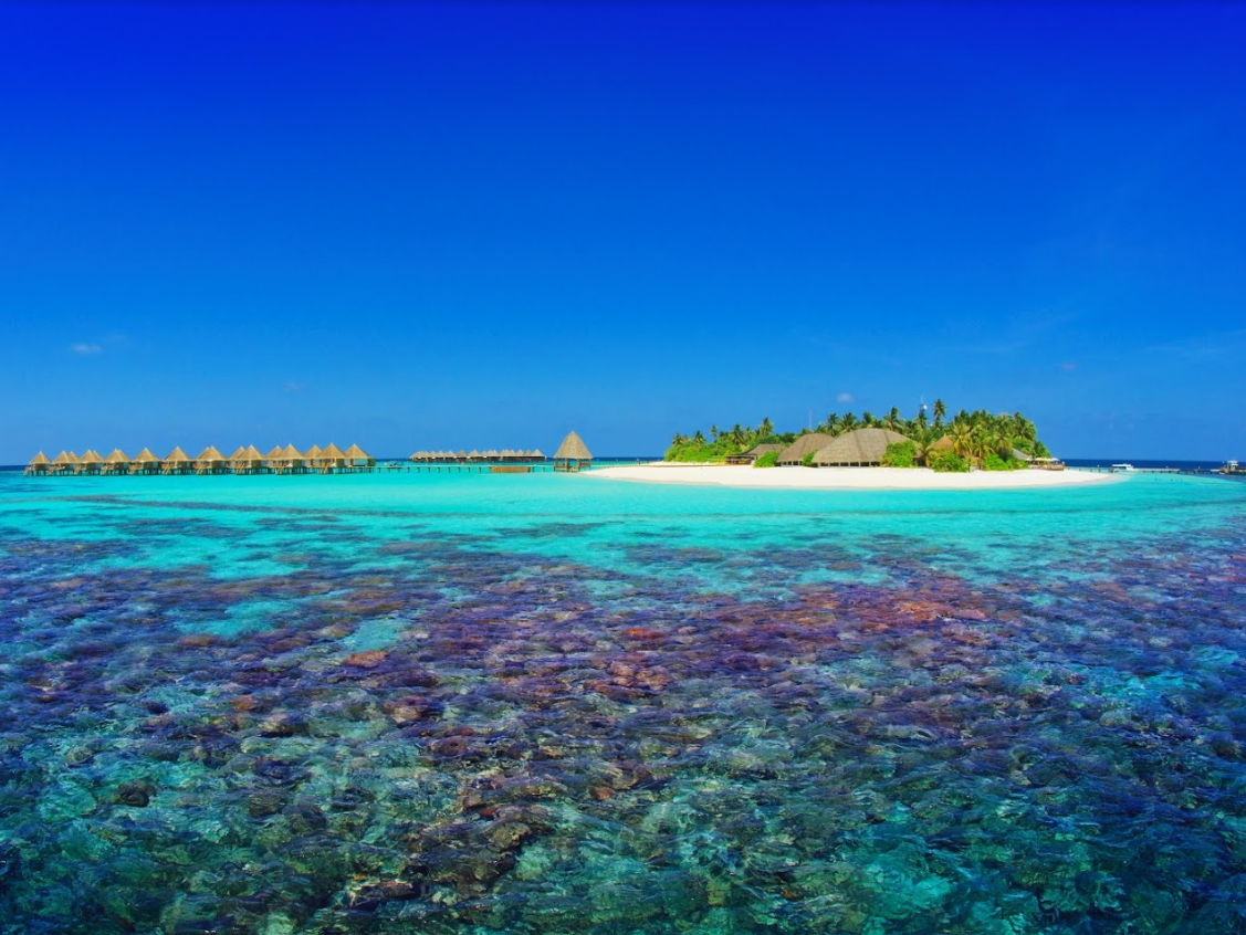 Angaga Island Resort  Spa Maldives - Adh.angaagau