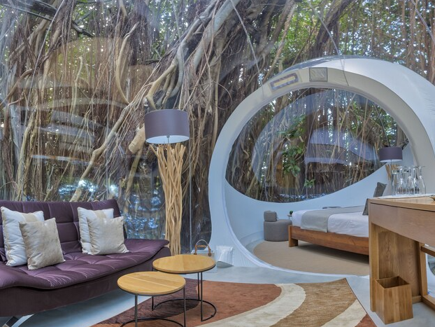 BUBBLE Banyan Tree