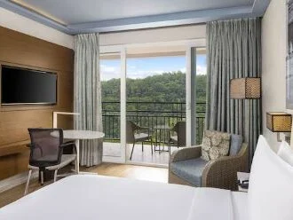 Deluxe Room - Lake View