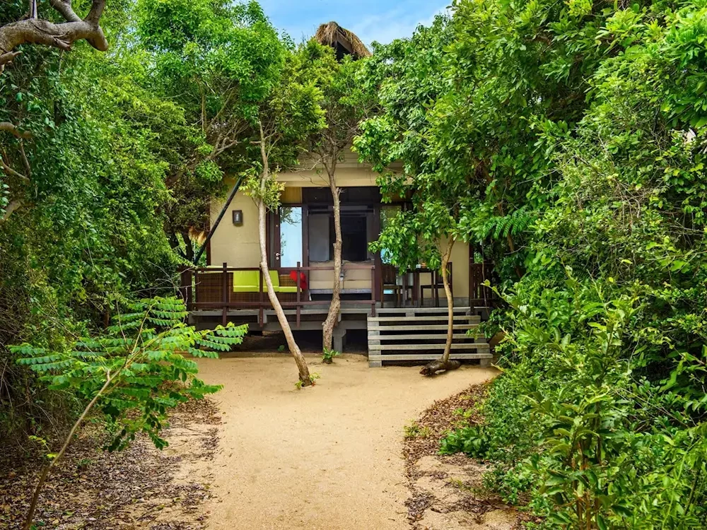 Jungle Cluster Cabin