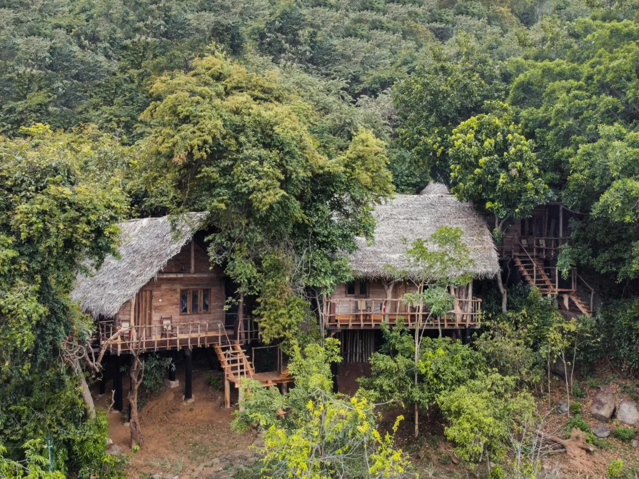 Tree House