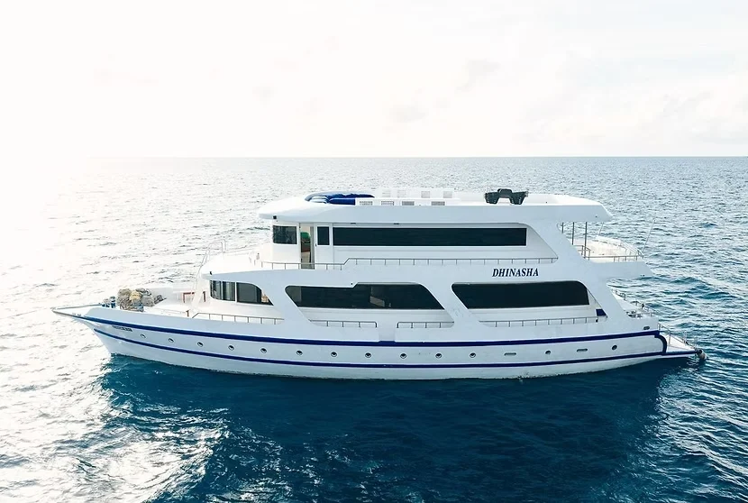 On-Board Bar Boat