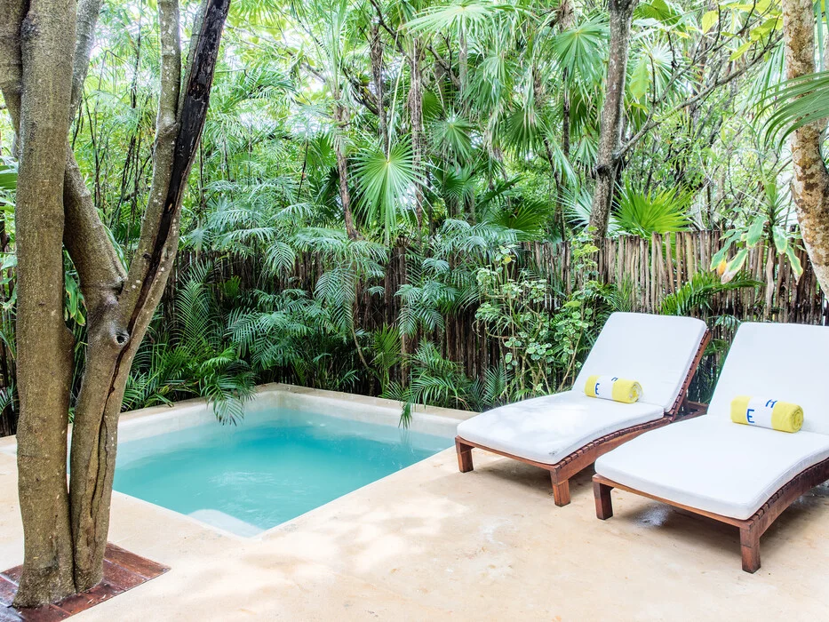 Jungle Suite With Plunge Pool