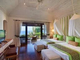 Five Bedrooms Silver Turtle