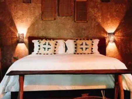 Jungle Suite